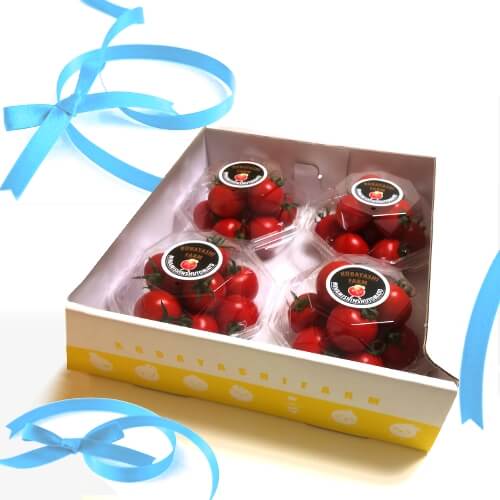 贈り物内祝い贈答トマトBOX