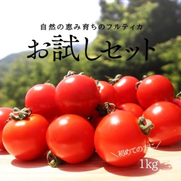 小林農園ミディアムトマトフルティカ1お試し