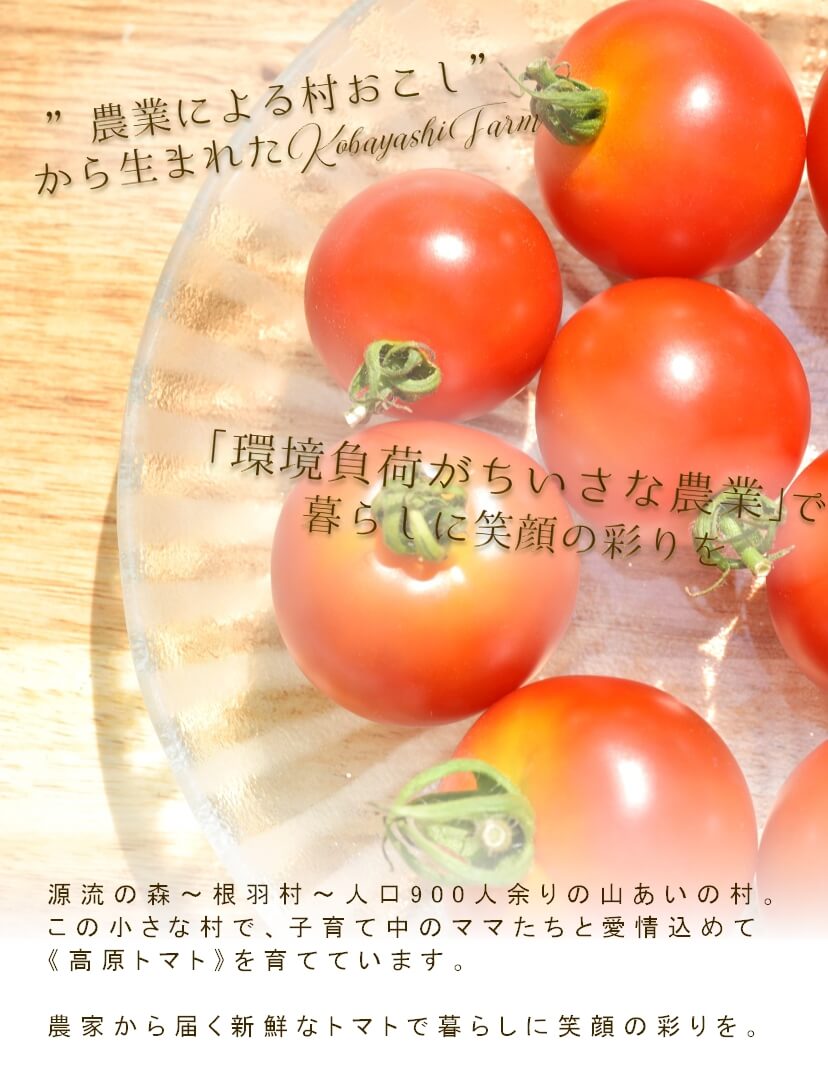 農業による村おこしの小林農園