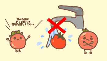 フルーツトマトおいしい保存方法
