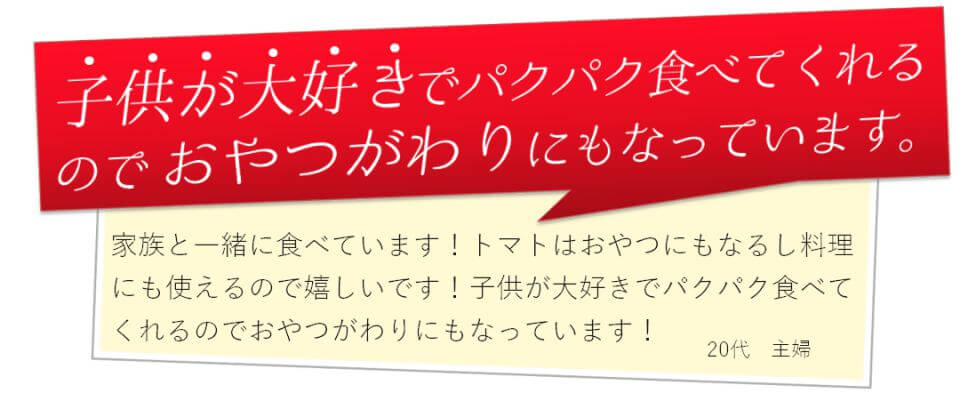 子ども大好き野菜高原トマト