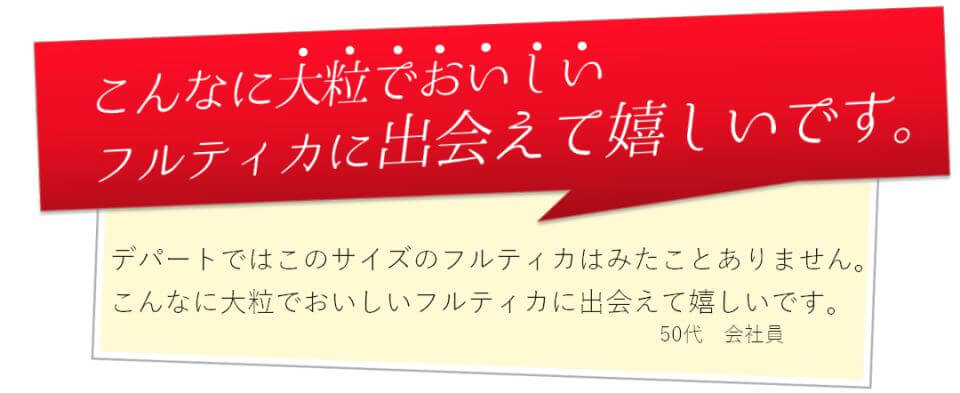 トマト好きな方にも高原トマト