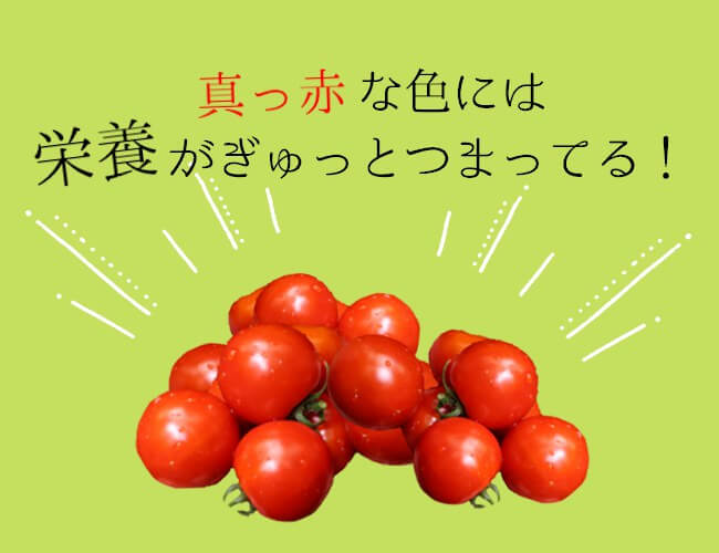真っ赤なトマトの栄養成分