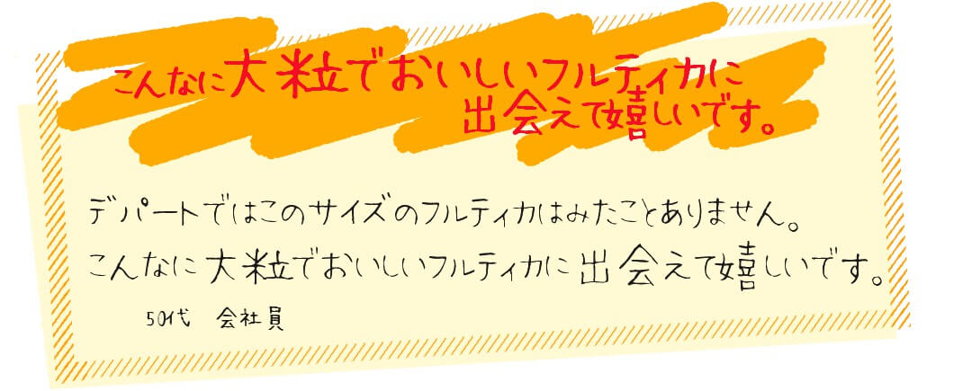 口コミおいしいフルティカトマト