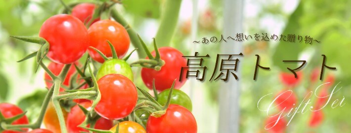 内祝い、お歳暮、農園のギフトセット