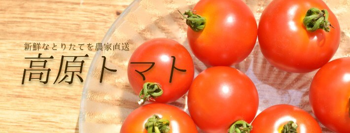 ご自宅用におすすめ新鮮なトマトセット